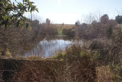 Terreno para Venda em Ninho do Açor e Sobral do Campo