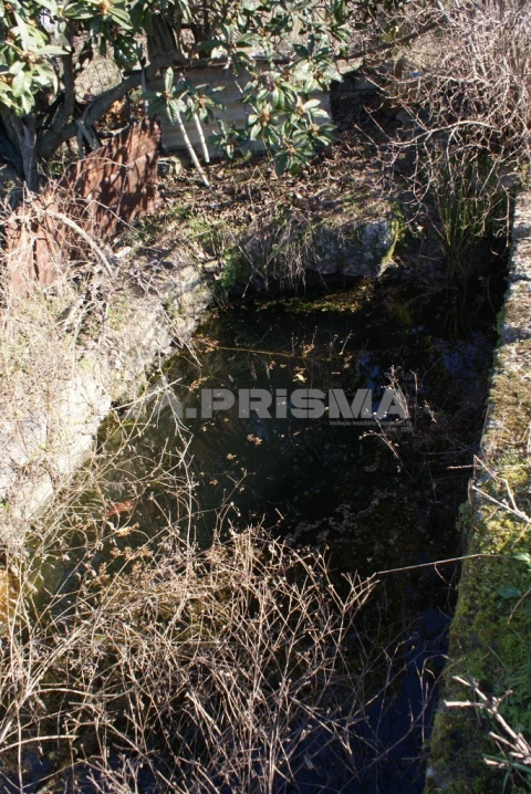 Terreno para Venda em Ninho do Açor e Sobral do Campo