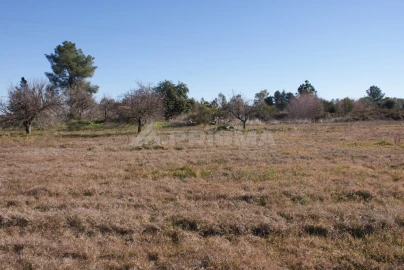Terreno para Venda em Ninho do Açor e Sobral do Campo