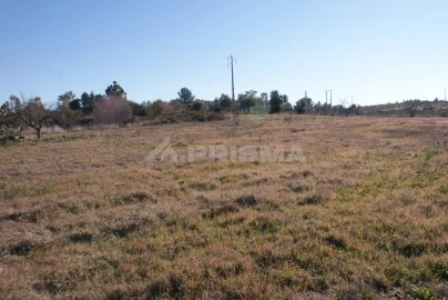 Terreno para Venda em Ninho do Açor e Sobral do Campo
