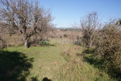 Terreno para Venda em Ninho do Açor e Sobral do Campo