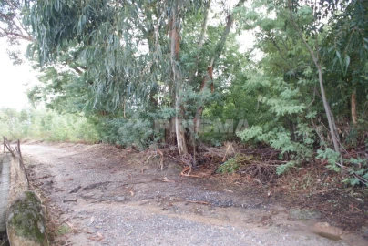 Terreno para Venda em Ninho do Açor e Sobral do Campo