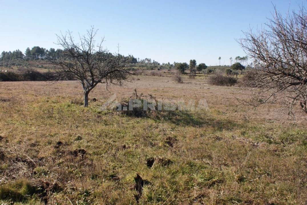 Terreno para Venda em Ninho do Açor e Sobral do Campo Foto 18