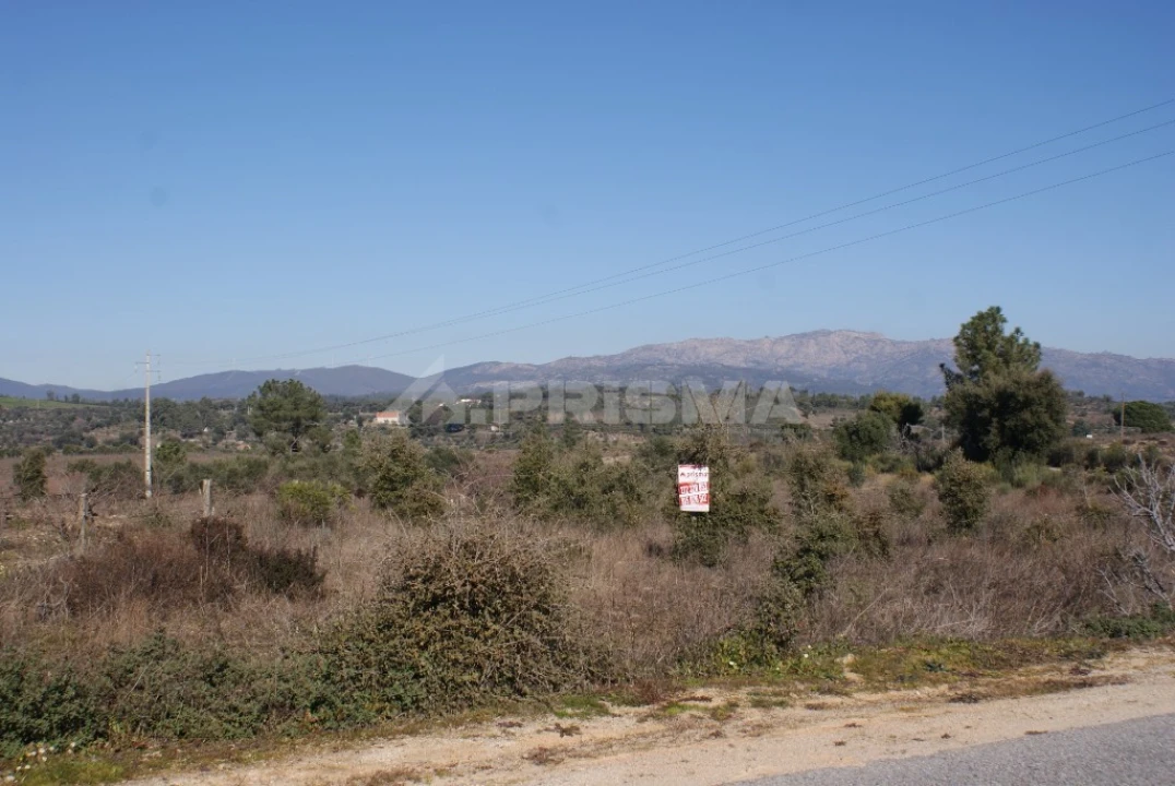 Terreno para Venda em Ninho do Açor e Sobral do Campo Foto 8