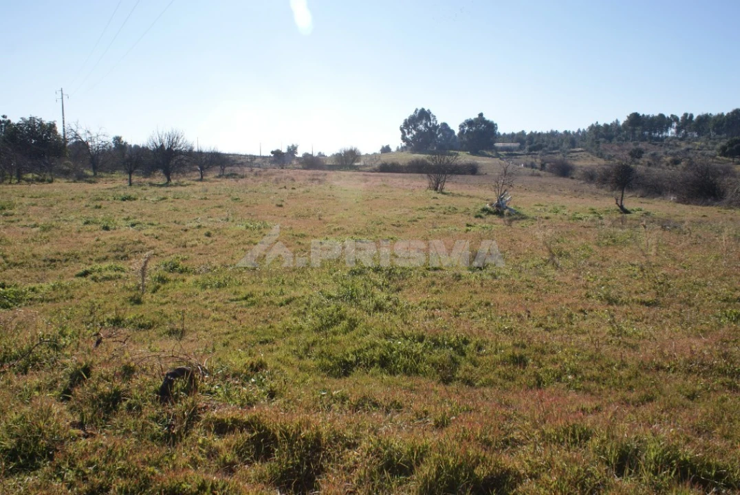 Terreno para Venda em Ninho do Açor e Sobral do Campo Foto 28