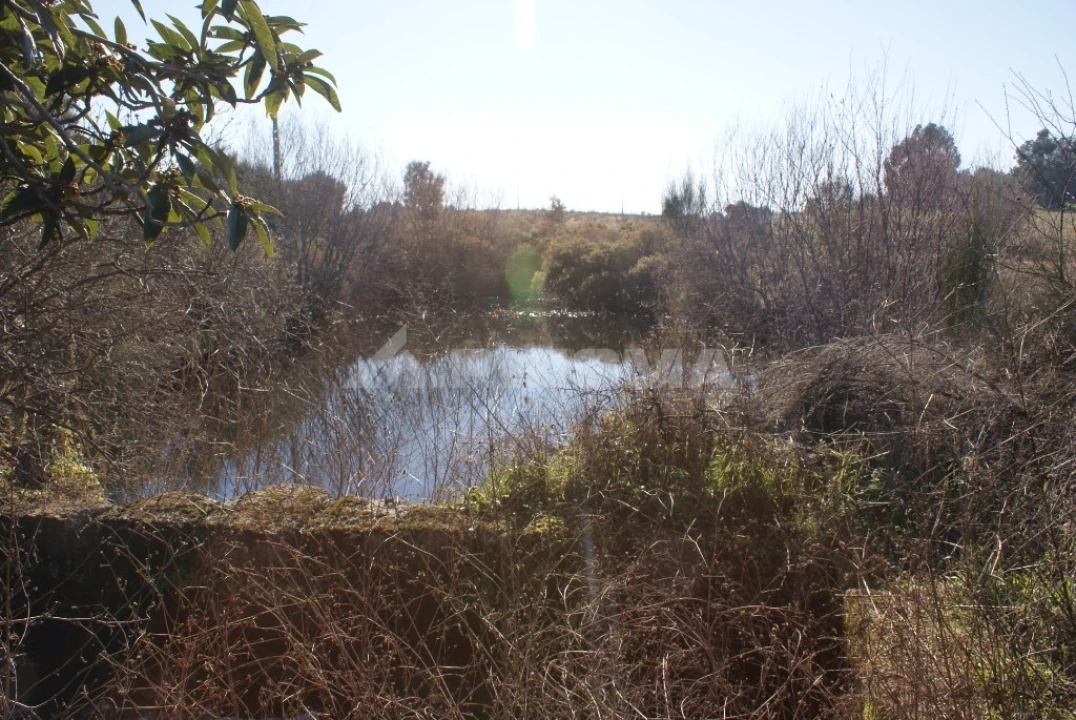 Terreno para Venda em Ninho do Açor e Sobral do Campo Foto 15
