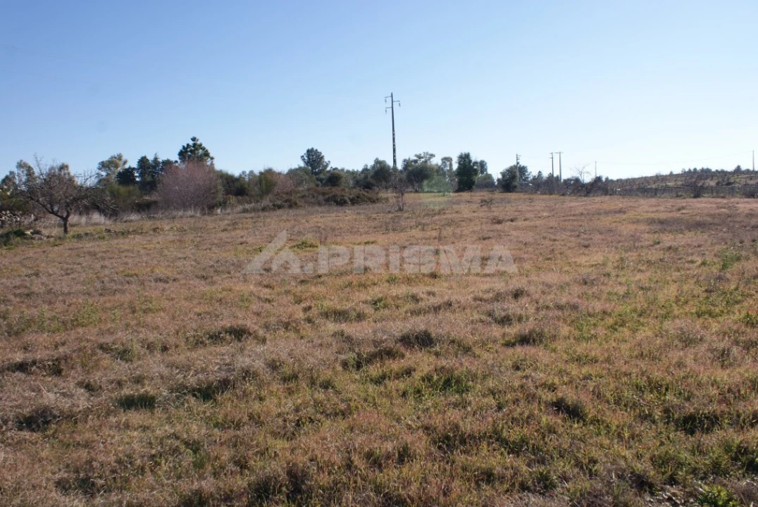 Terreno para Venda em Ninho do Açor e Sobral do Campo Foto 23