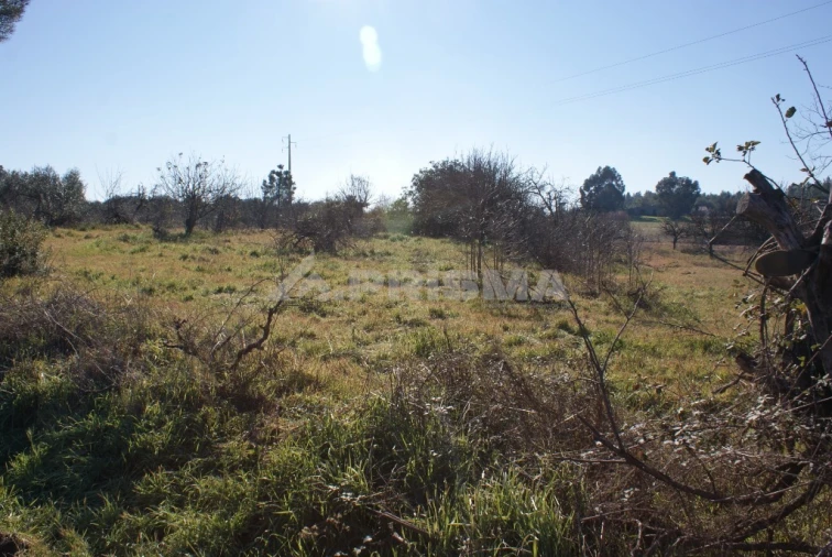 Terreno para Venda em Ninho do Açor e Sobral do Campo Foto 29