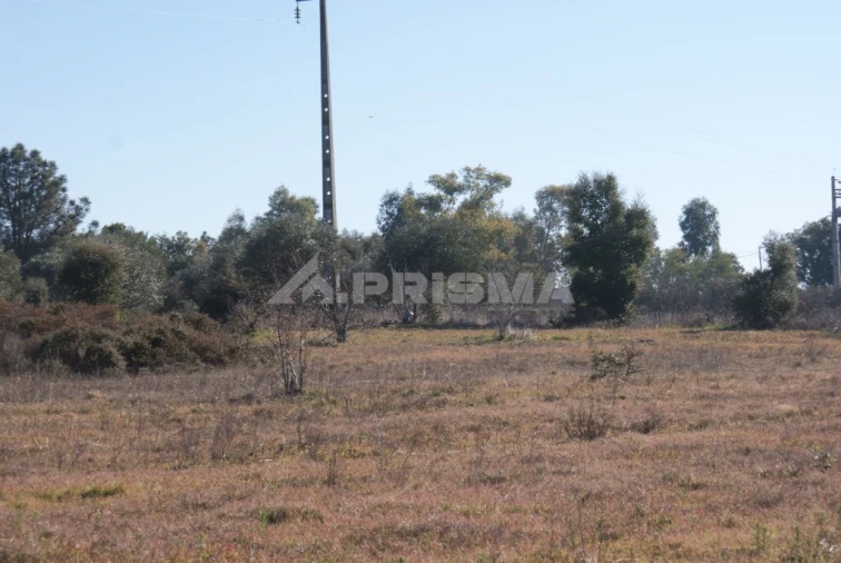 Terreno para Venda em Ninho do Açor e Sobral do Campo Foto 24