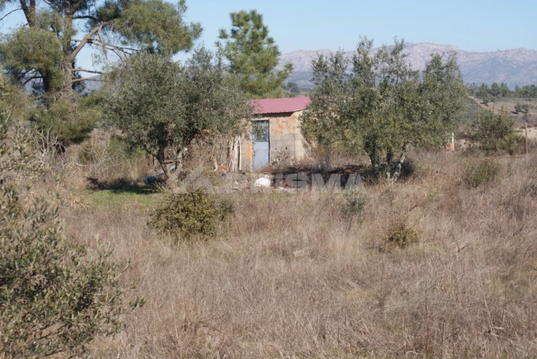 Terreno para Venda em Ninho do Açor e Sobral do Campo Foto 11