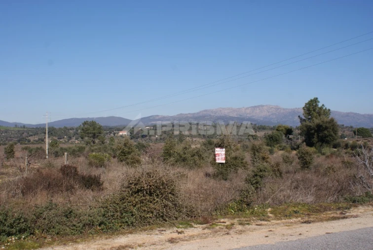 Terreno para Venda em Ninho do Açor e Sobral do Campo Foto 8