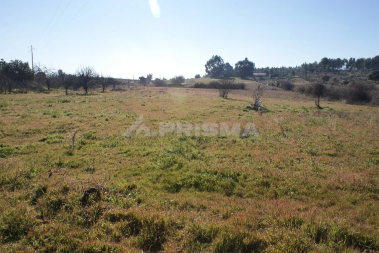 Terreno para Venda em Ninho do Açor e Sobral do Campo Foto 28