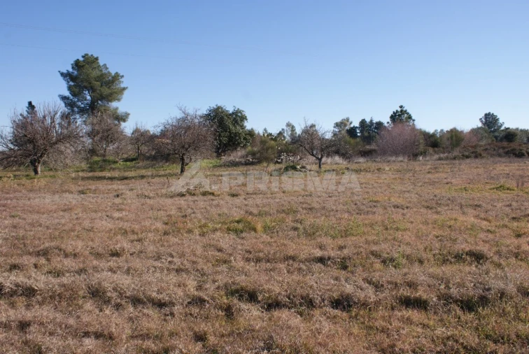 Terreno para Venda em Ninho do Açor e Sobral do Campo Foto 22