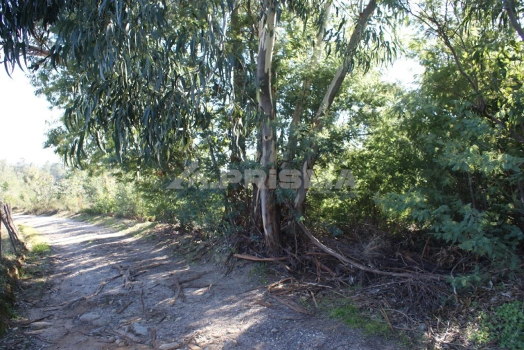 Terreno para Venda em Ninho do Açor e Sobral do Campo Foto 35
