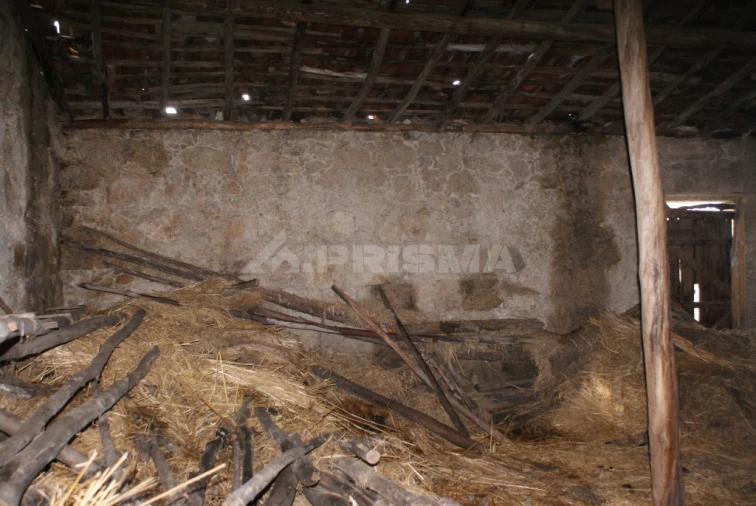 Terreno para Venda em Ninho do Açor e Sobral do Campo Foto 3