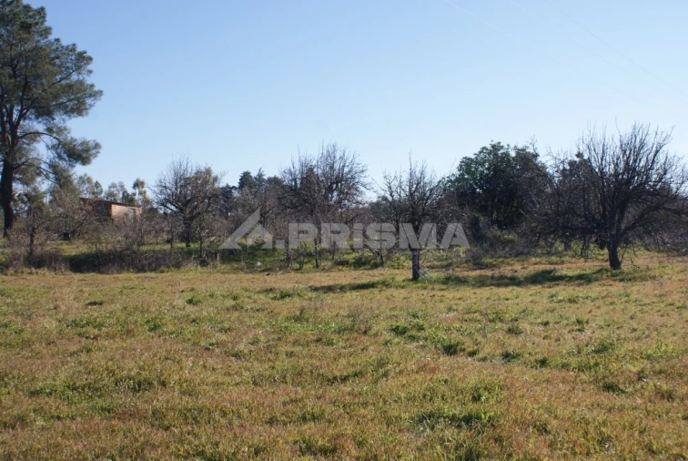 Terreno para Venda em Ninho do Açor e Sobral do Campo Foto 25