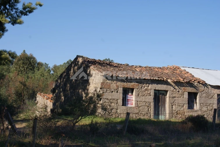 Terreno para Venda em Ninho do Açor e Sobral do Campo Foto 4