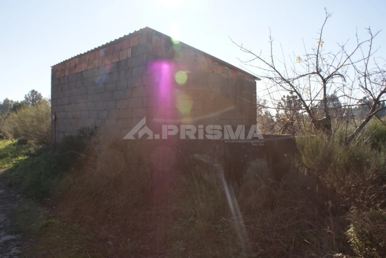 Terreno para Venda em Ninho do Açor e Sobral do Campo Foto 30