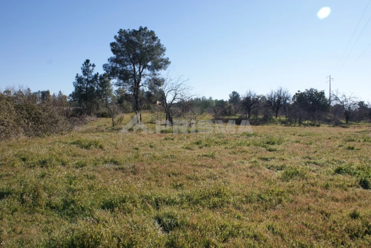 Terreno para Venda em Ninho do Açor e Sobral do Campo Foto 27