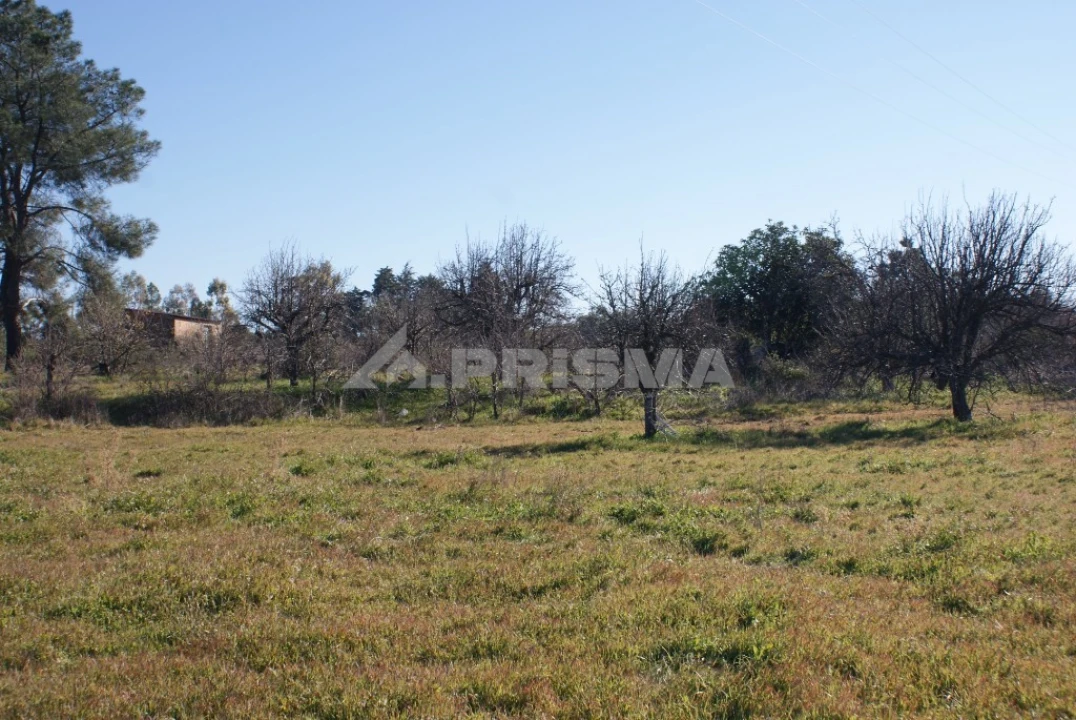 Terreno para Venda em Ninho do Açor e Sobral do Campo Foto 25