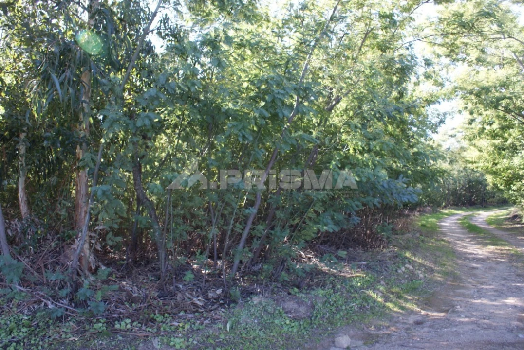 Terreno para Venda em Ninho do Açor e Sobral do Campo Foto 34