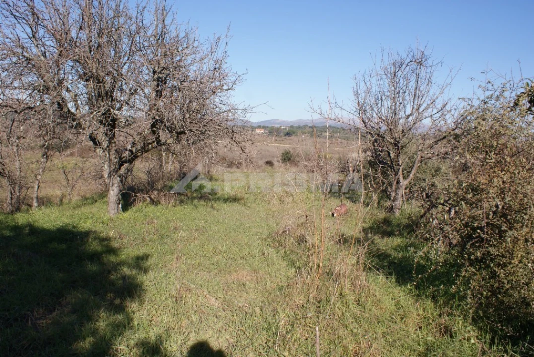 Terreno para Venda em Ninho do Açor e Sobral do Campo Foto 14