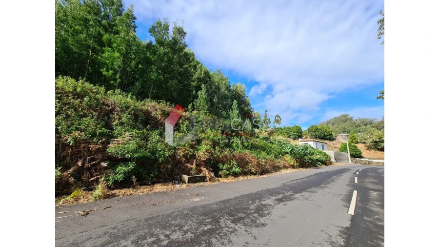 Terreno para Venda em Terra Chã Foto 7