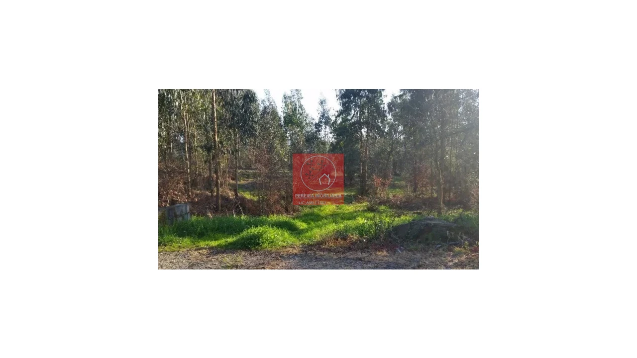 Terreno para Venda em Lousado Foto 1