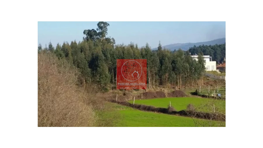 Terreno para Venda em Lousado Foto 6