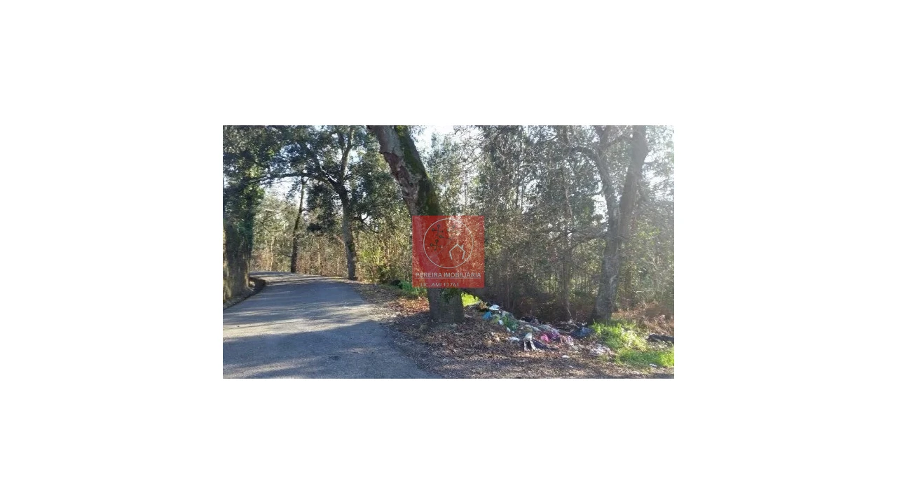 Terreno para Venda em Lousado Foto 5