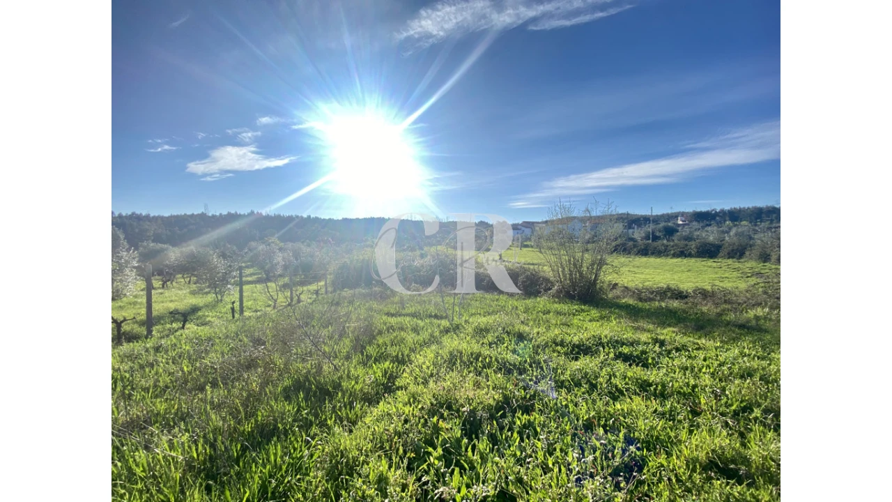 Moradia T3 para Venda em Graça Foto 3