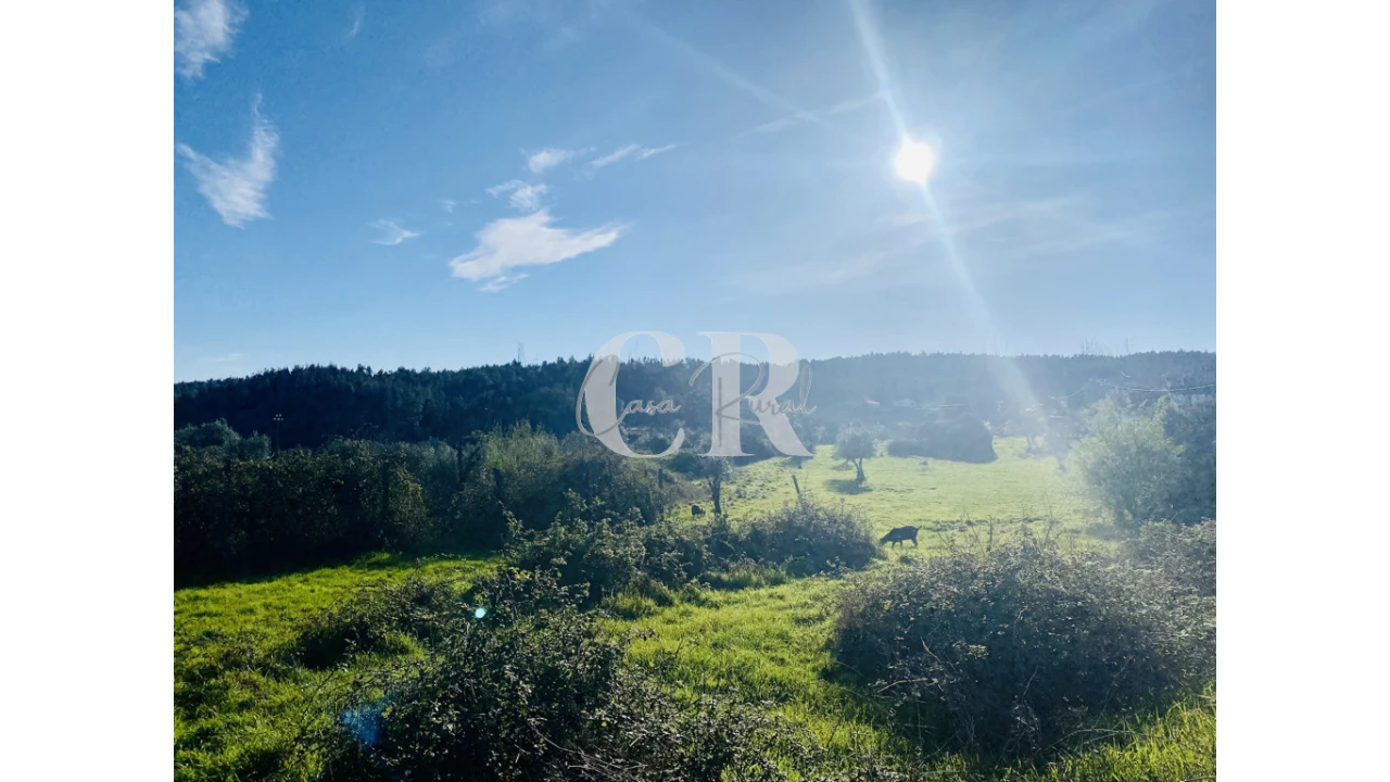 Moradia T3 para Venda em Graça Foto 8