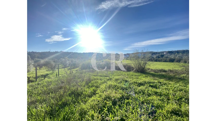 Moradia T3 para Venda em Graça Foto 3