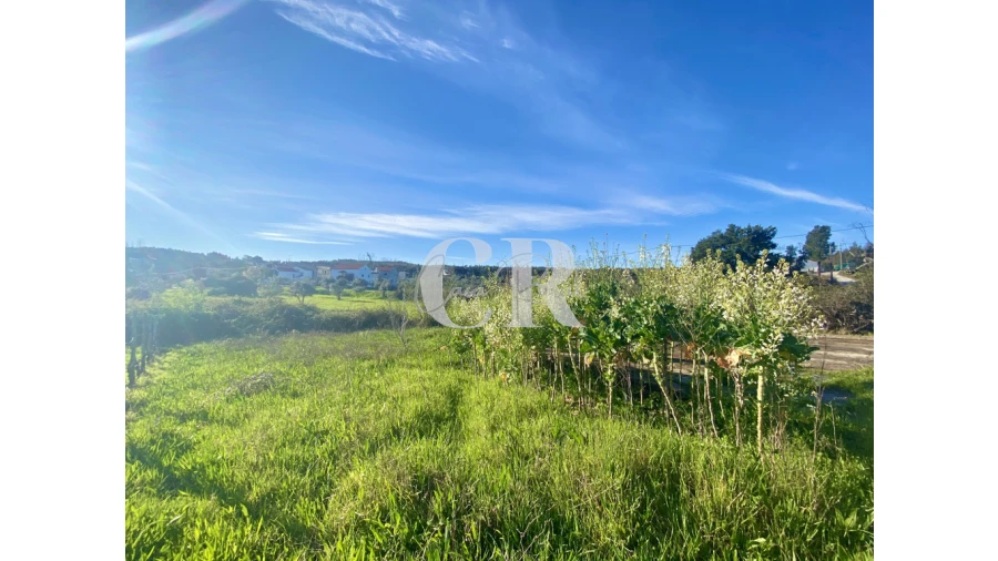 Moradia T3 para Venda em Graça Foto 5