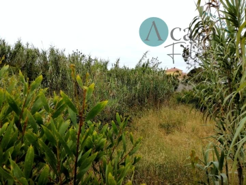 Terreno para Venda em Caranguejeira