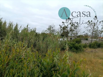 Terreno para Venda em Caranguejeira