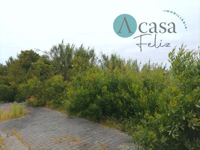 Terreno para Venda em Caranguejeira Foto 3