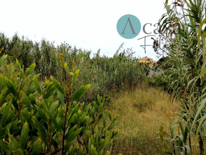 Terreno para Venda em Caranguejeira Foto 12