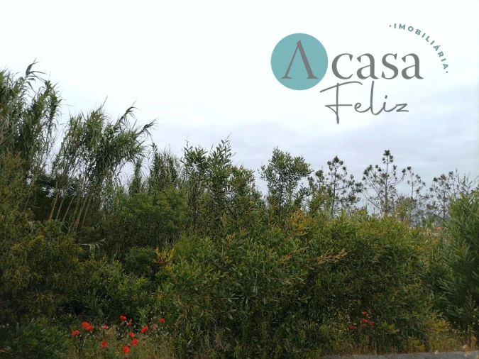 Terreno para Venda em Caranguejeira Foto 6