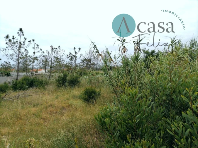 Terreno para Venda em Caranguejeira Foto 11