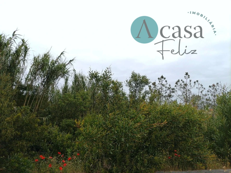 Terreno para Venda em Caranguejeira Foto 6