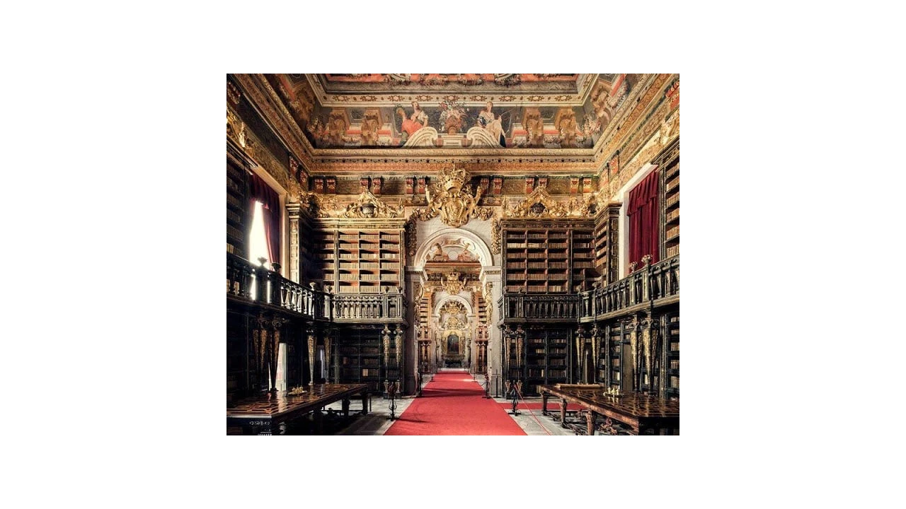 Terreno para Venda em Cernache Foto 7