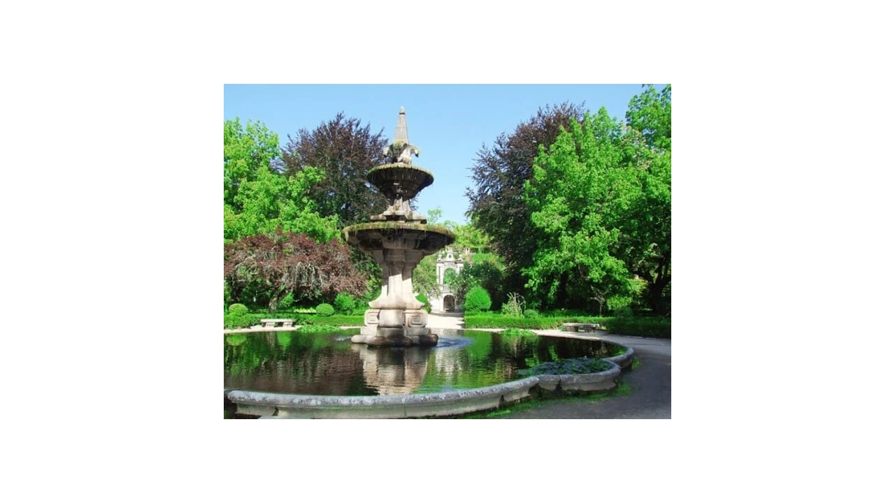 Terreno para Venda em Cernache Foto 10