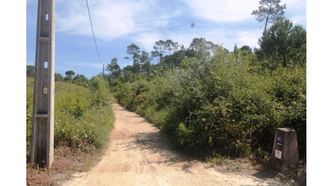 Terreno para Venda em Cernache