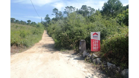 Terreno para Venda em Cernache