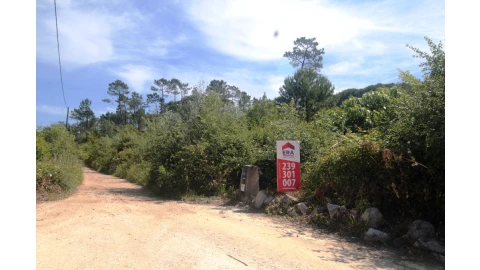 Terreno para Venda em Cernache