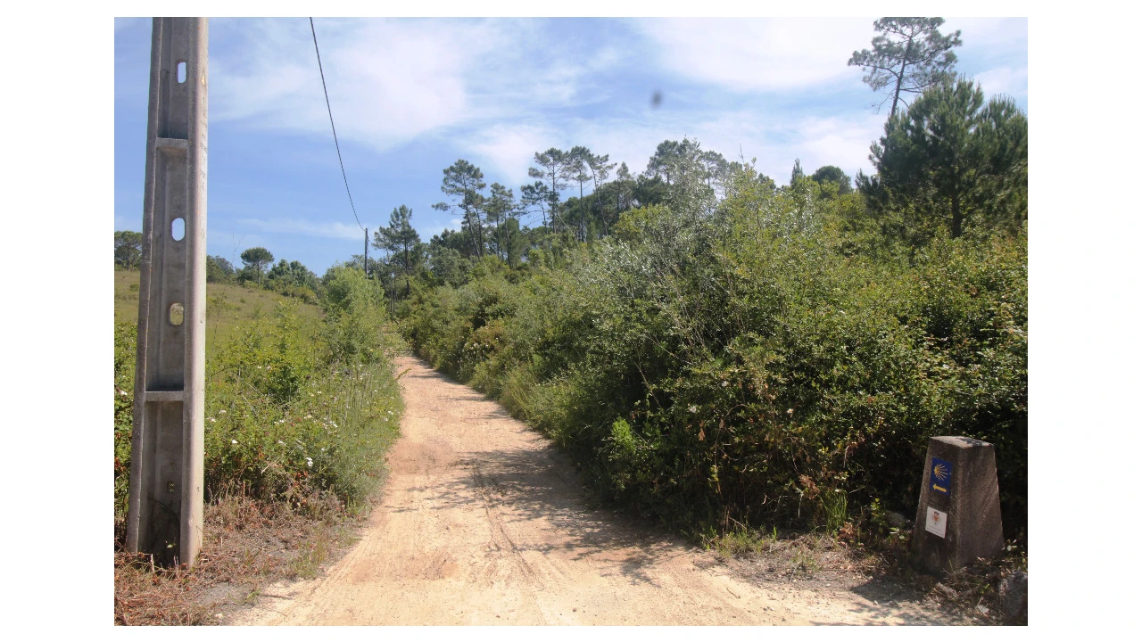Terreno para Venda em Cernache Foto 3