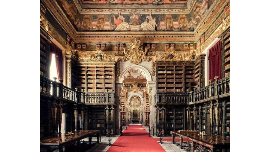 Terreno para Venda em Cernache Foto 7