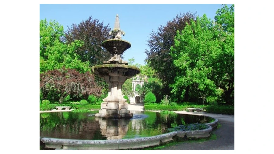 Terreno para Venda em Cernache Foto 10