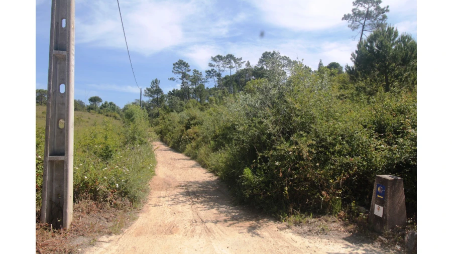 Terreno para Venda em Cernache Foto 3